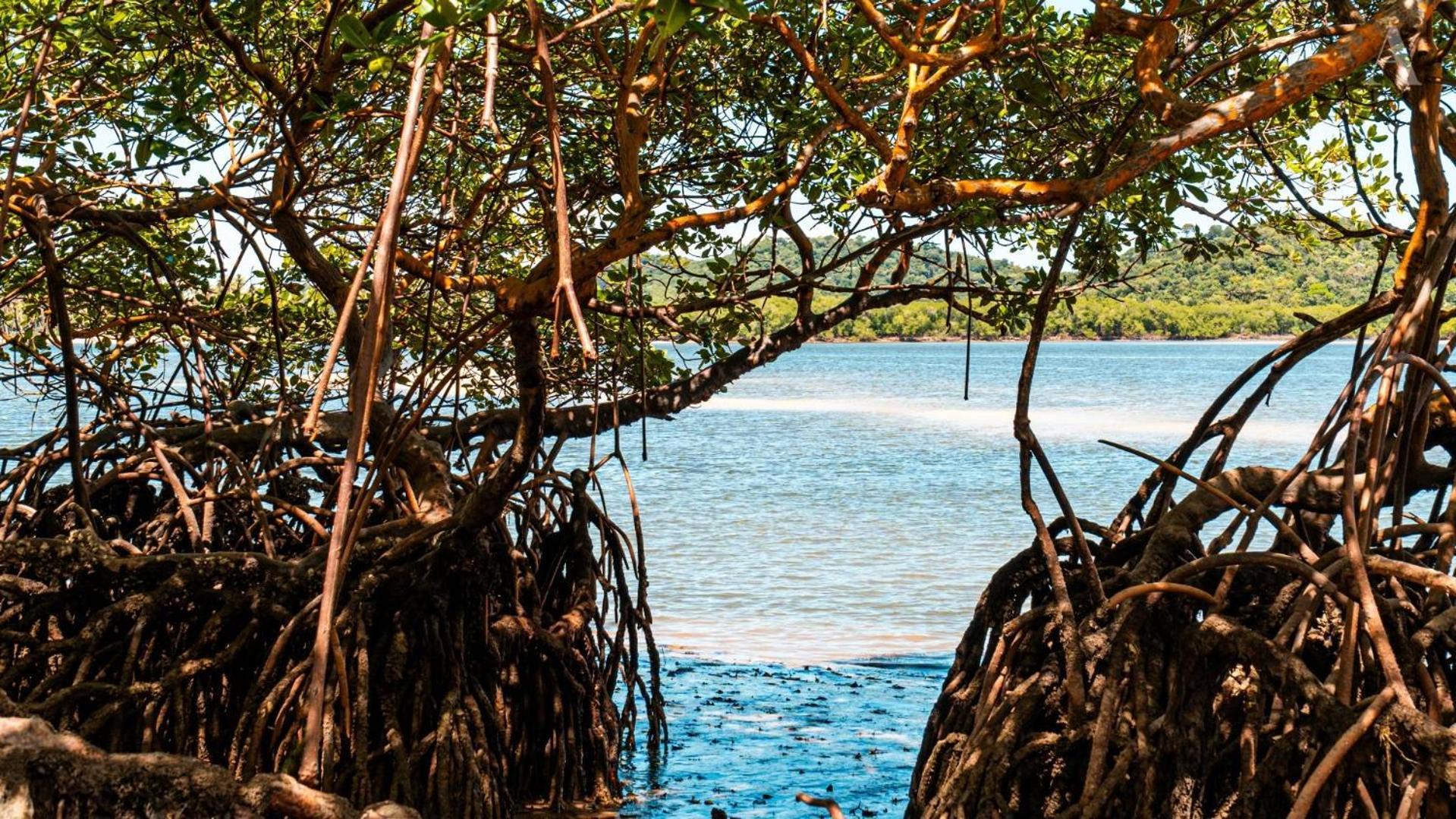 Pousada Recanto Sol Nascente, Luxo E Proximidade Com A Natureza Hotell Rio Formoso Eksteriør bilde