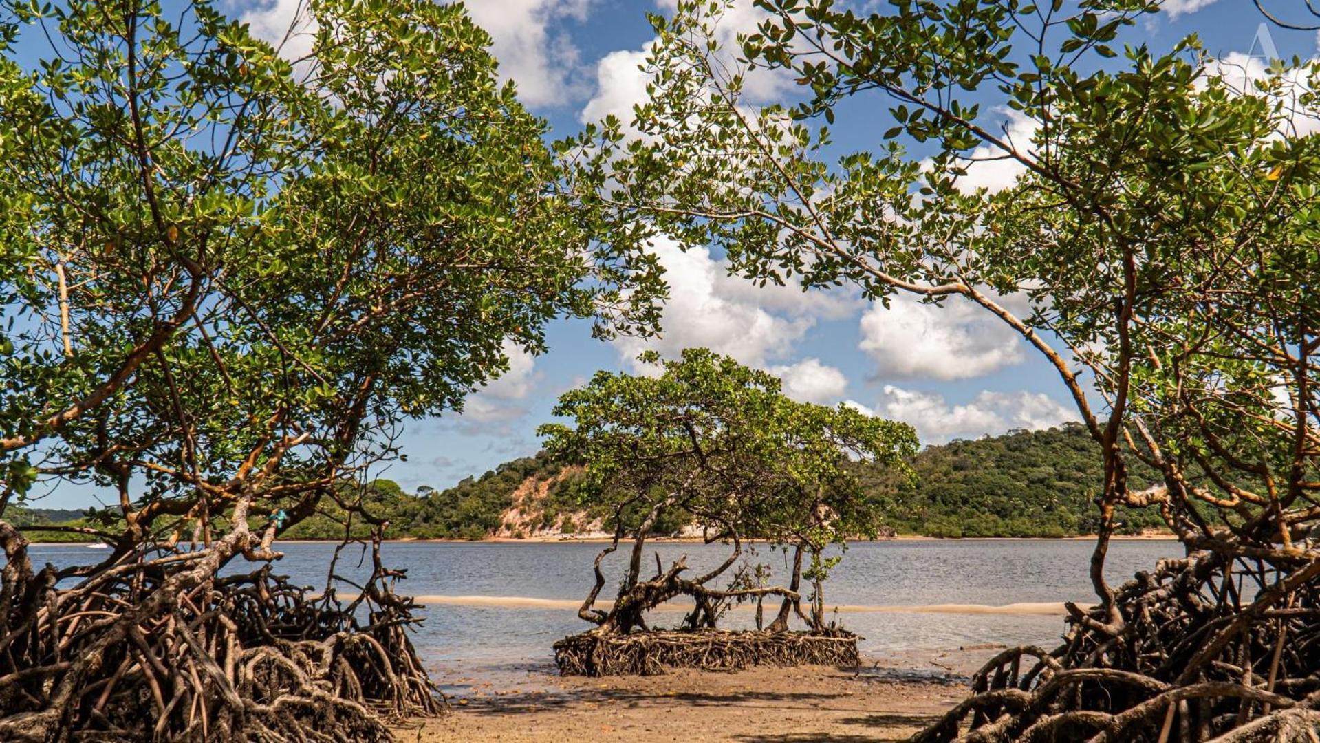 Pousada Recanto Sol Nascente, Luxo E Proximidade Com A Natureza Hotell Rio Formoso Eksteriør bilde