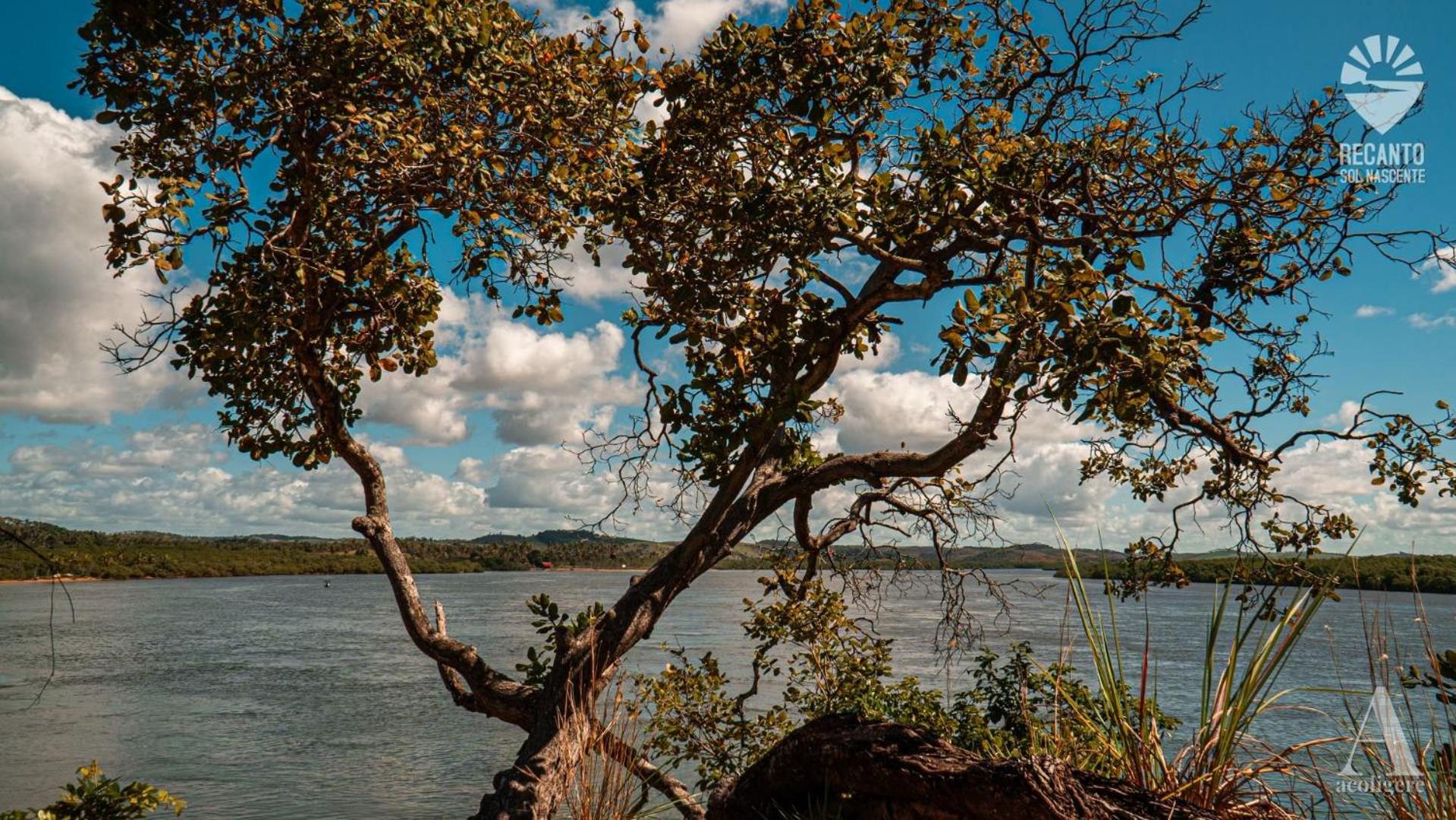 Pousada Recanto Sol Nascente, Luxo E Proximidade Com A Natureza Hotell Rio Formoso Eksteriør bilde